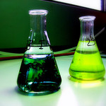 2575598759_f2109d9152_q