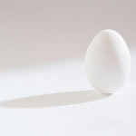 337315801_4f8f28992f_q