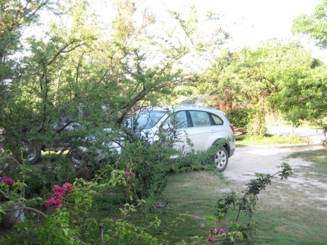 Ibera Posada el Yacare patio