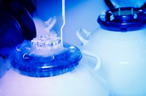 Egg freezing liquid-nitrogen