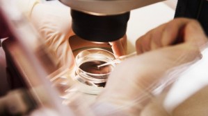 Egg freezing petri dish